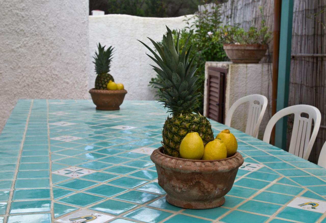 Jungle House - Pineta Is Morus Villa Santa Margherita di Pula Exterior foto